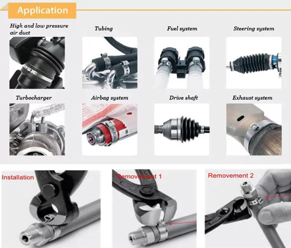 Application Application